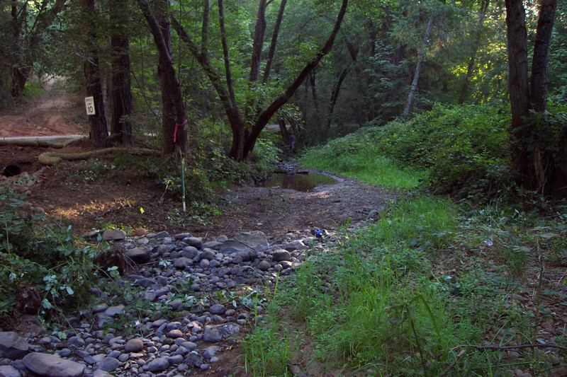 Northwest Biological Consulting - Sediment Removal  Stream